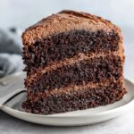 Close-up of a thick slice of homemade chocolate cake with rich, dark layers and creamy chocolate frosting.