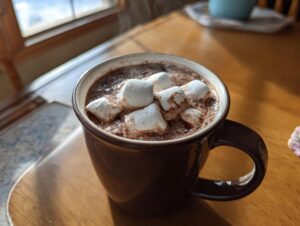 A close-up of steaming homemade hot cocoa topped with fluffy white marshmallows in a dark brown mug.